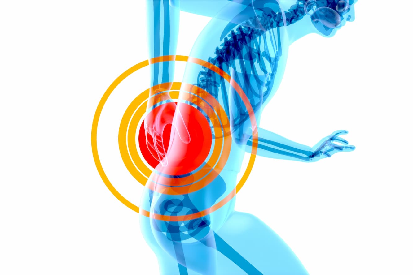 4k anatomy concept back pain